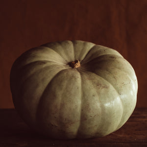 QLD Blue Pumpkin