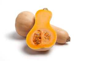 Butternut