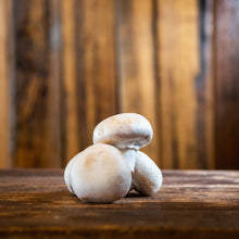 Load image into Gallery viewer, Button Mushrooms

