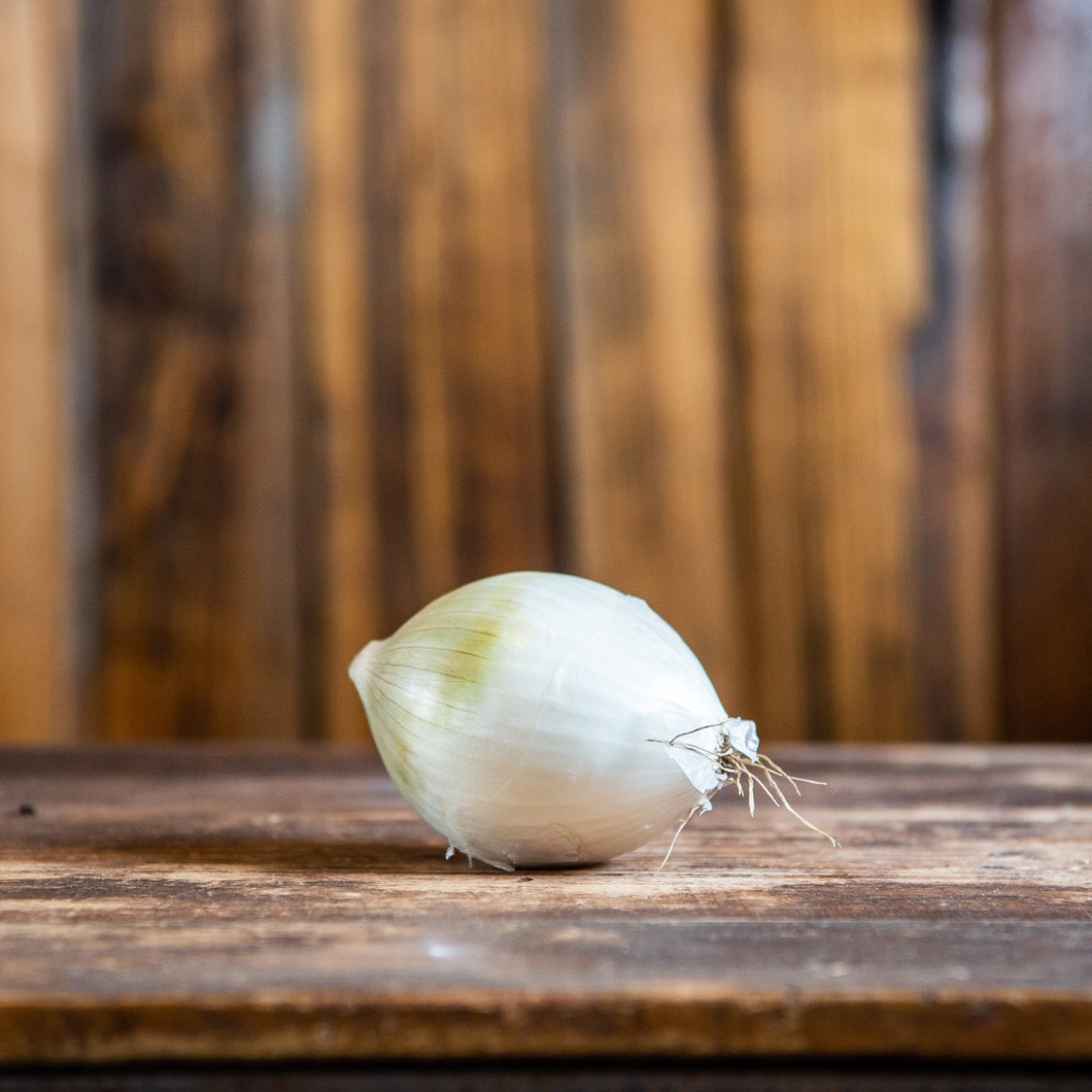White Onion