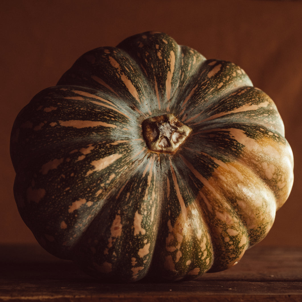 Jap Pumpkin