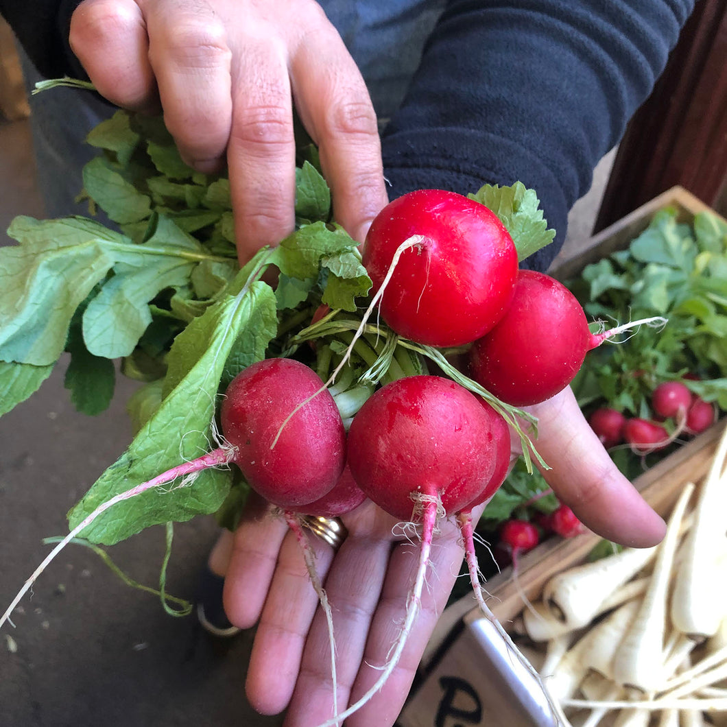 Radishes
