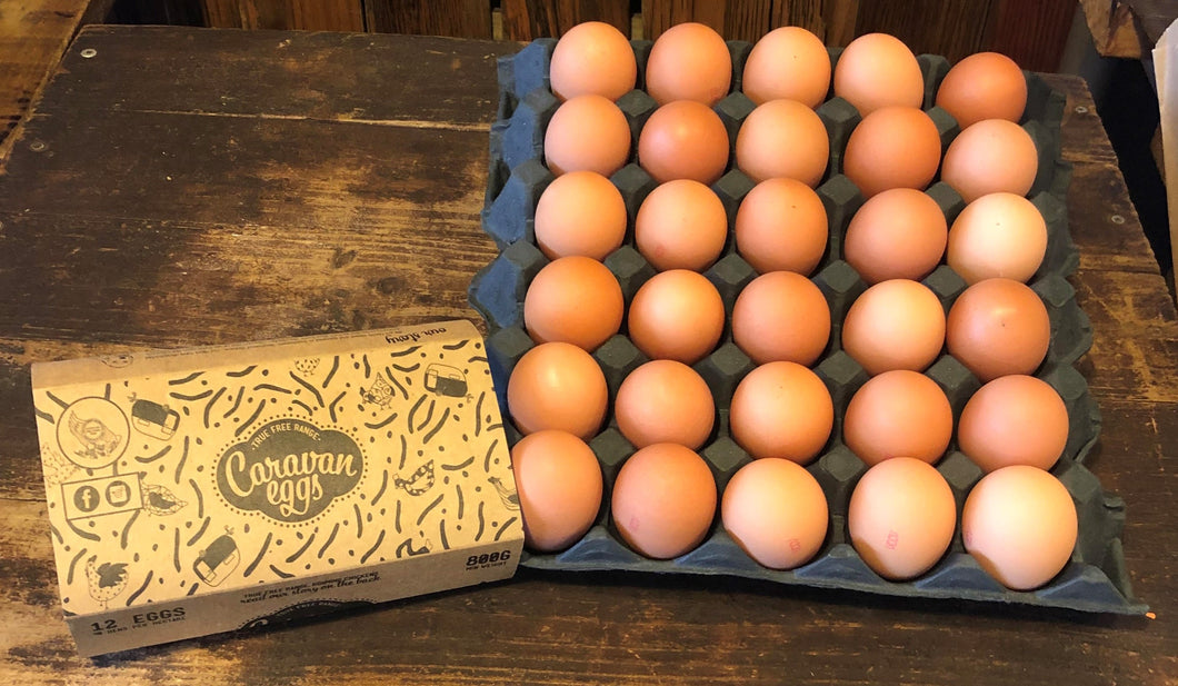 Tray of Caravan Eggs